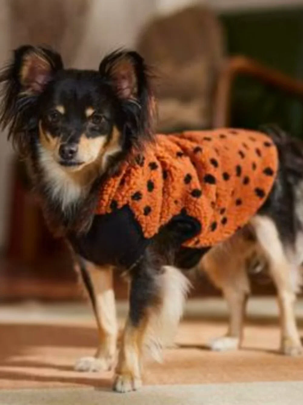 PETS: DOG POLKA-DOT LEAPORD PRINT HOODIE COAT